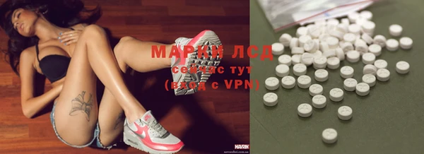 ГАЛЛЮЦИНОГЕННЫЕ ГРИБЫ Новодвинск