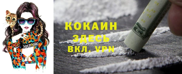 мяу мяу мука Баксан