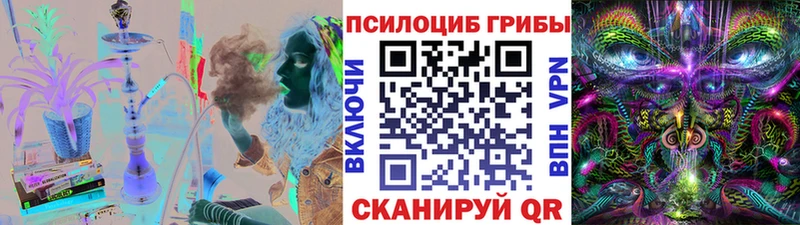 купить закладку  Красный Сулин  Галлюциногенные грибы Cubensis 